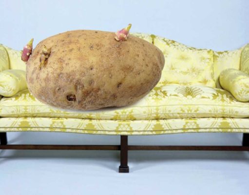 New study suggests stoners work out longer and harder than sober people