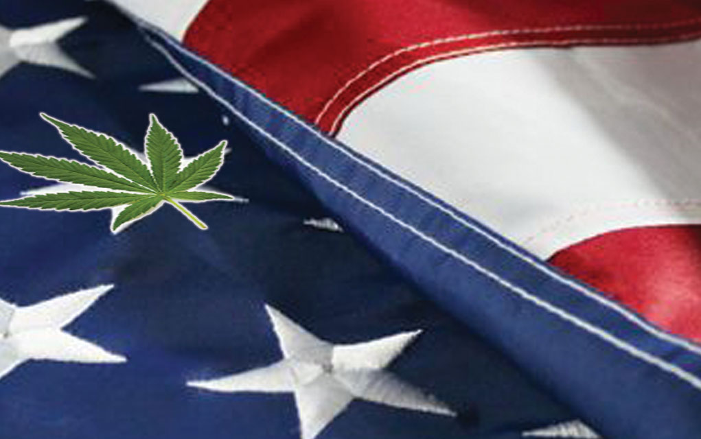 Advocate for veteran access to cannabis this Memorial Day