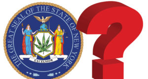 NY pot bill comes back from the dead