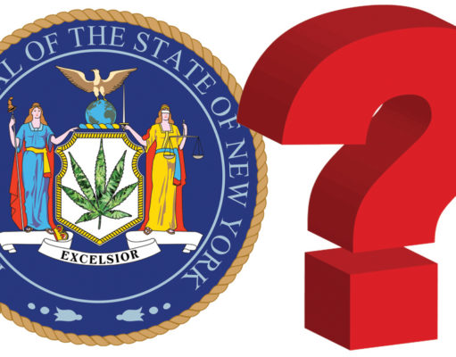 NY pot bill comes back from the dead