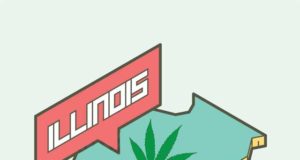 Illinois legislature legalizes recreational marijuana