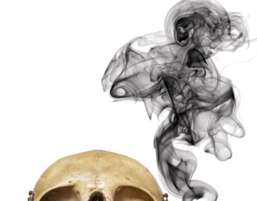 Our ancestors got high