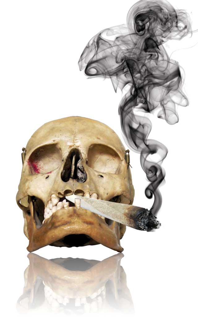 Our ancestors got high
