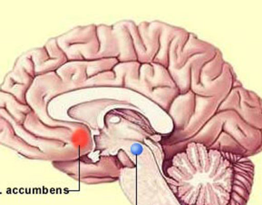 This is your brain on drugs