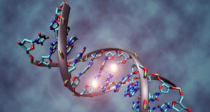 Gene may increase risk of marijuana ‘addiction’