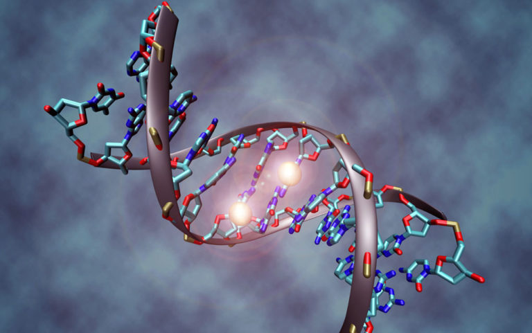 Gene may increase risk of marijuana ‘addiction’