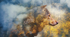 A tale of two travelers