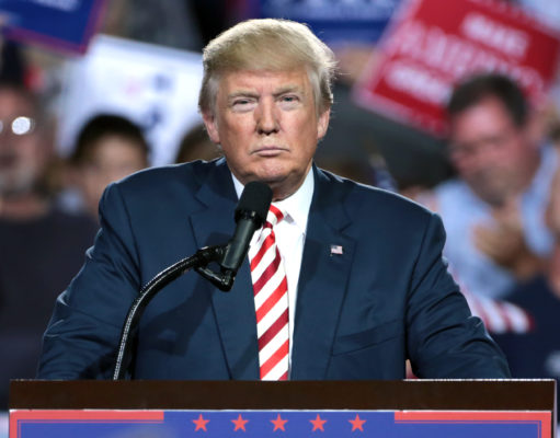 Self-deception and hidden agendas during the pandemic