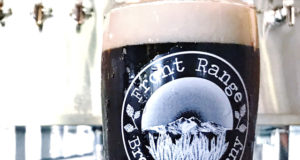 New in brew: Fruity goses abound