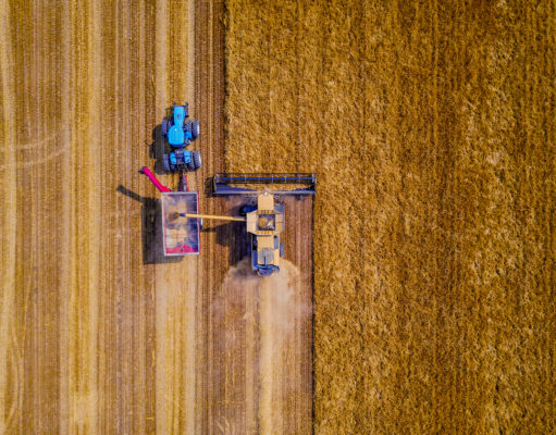 The state of agriculture