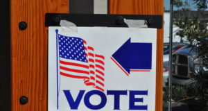 A modest proposal to prevent meddling in our elections