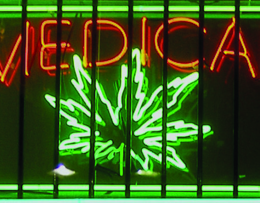 Marijuana vs. Cancer: The evidence is growing