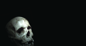 This Small Skull Once Belonged