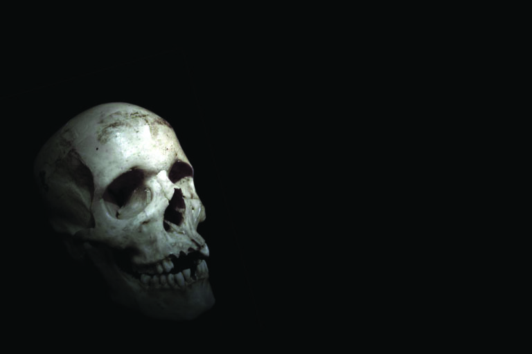 This Small Skull Once Belonged