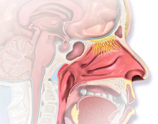 A rose by any other name…