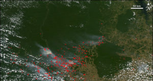 Deforestation intensifies warming in the Amazon Rain Forest