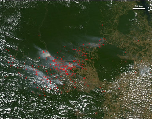 Deforestation intensifies warming in the Amazon Rain Forest