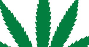 ‘Politico’ to put out a marijuana newsletter