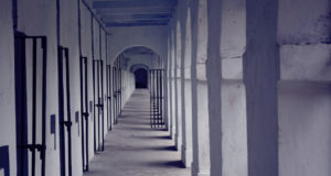 High country defelonization