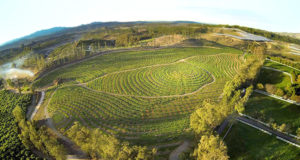 In search of a harmonious web of life