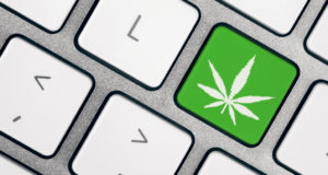 Software is the hot thing in cannabis right now