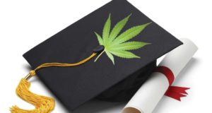 Just get high without your attorney