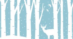 Winter, A to Z, Colorado style