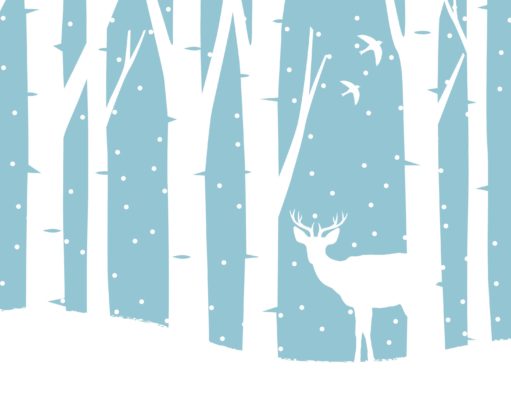 Winter, A to Z, Colorado style