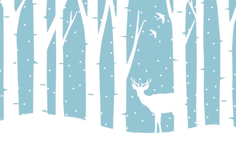 Winter, A to Z, Colorado style