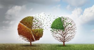 PERA should divest from fossil fuels for the climate as well as for better returns.