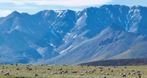 Drilling in an Arctic Eden