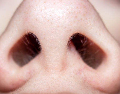 Trump says it out loud: Prohibition doesn’t work