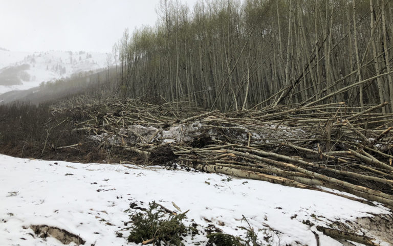 Learning from a once-a-century avalanche cycle