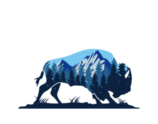 Buffaloed in Boulder