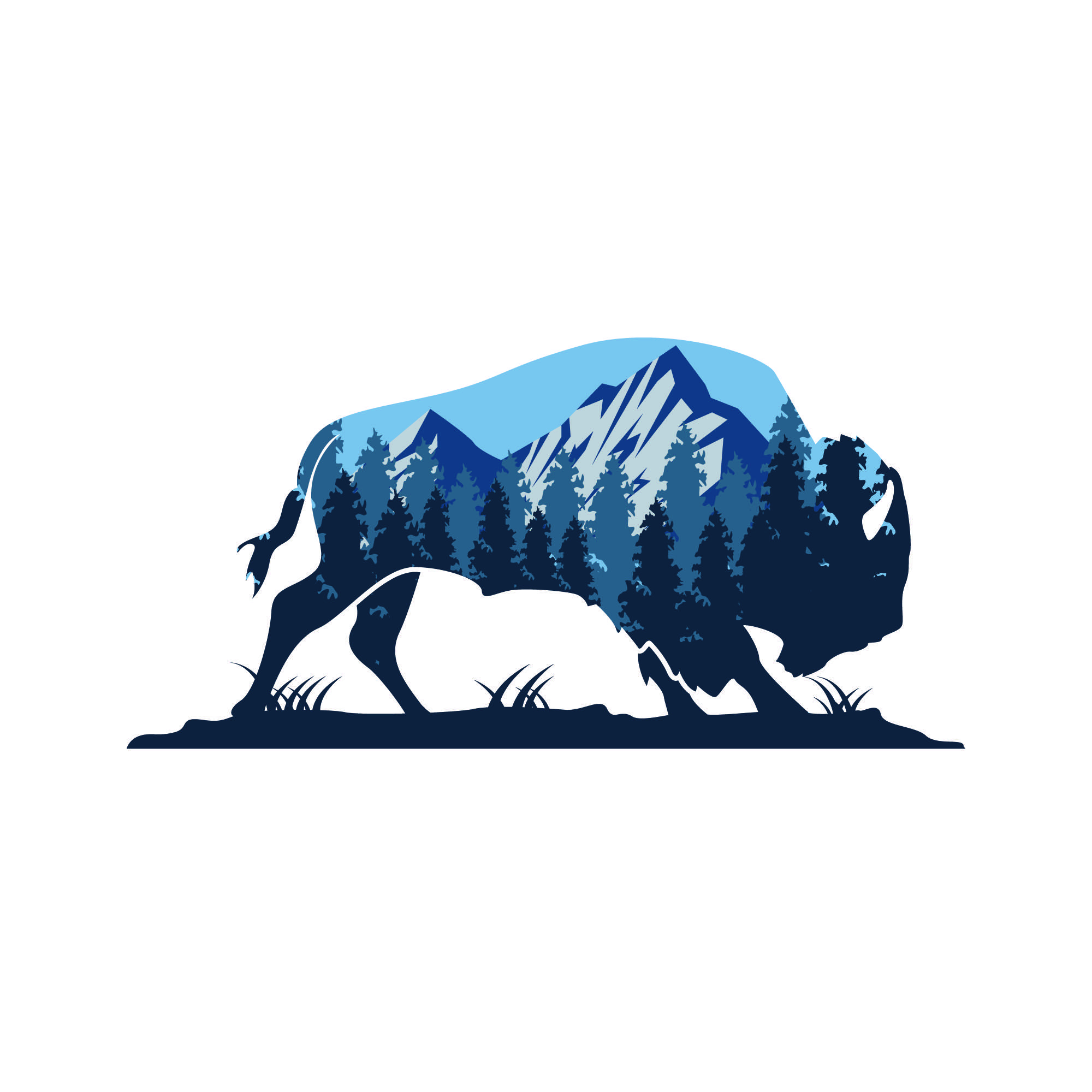 Buffaloed in Boulder