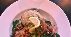 Try this week: Jungle, Morning Glory Cafe, and more