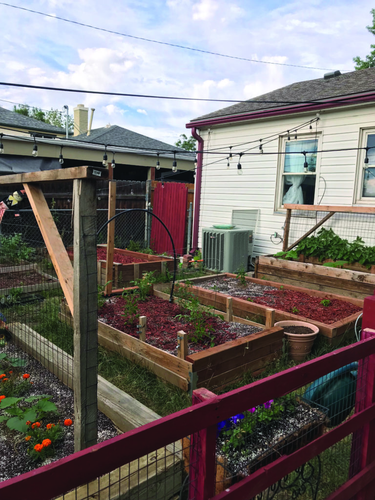 The garden