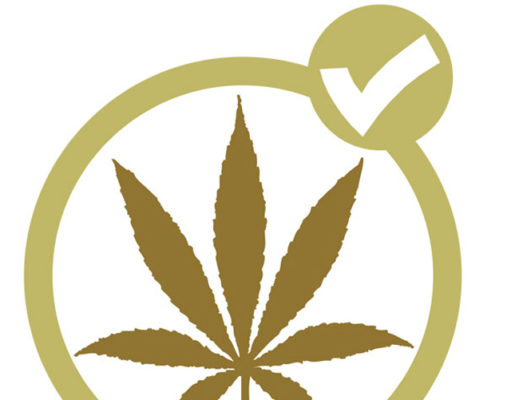 Legalization 2020: Let the people decide (the lawmakers are too chicken)