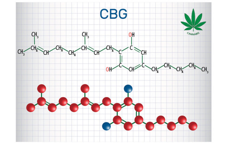 Let’s talk about CBG