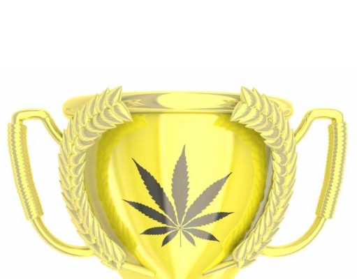 Boulder brings its A-game to ‘High Times’ 2019 Colorado Cannabis Cup