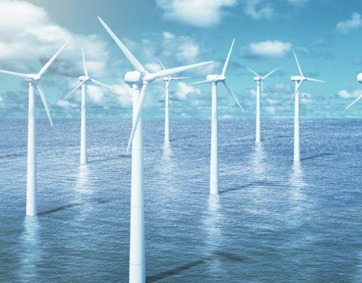 A green business boom