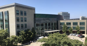 Cannabis and cancer study: Bad news or fake news?