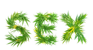 Don’t blame pot for increases in gonorrhea