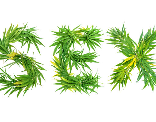 Don’t blame pot for increases in gonorrhea