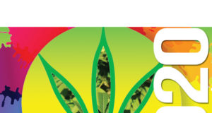 Marijuana legalization 2020: The state of play in the USA