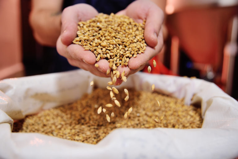 Know your brew: Malt