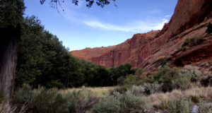 Quicksand and barbaric yawps