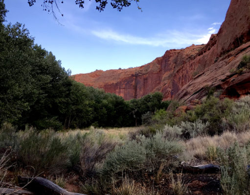 Quicksand and barbaric yawps