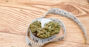 Can marijuana help you lose weight?