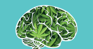 Arizona parents of children with autism fight to legally use medical marijuana